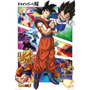 Dragon Ball Super Panels Poster 24 In x 36 In NEW